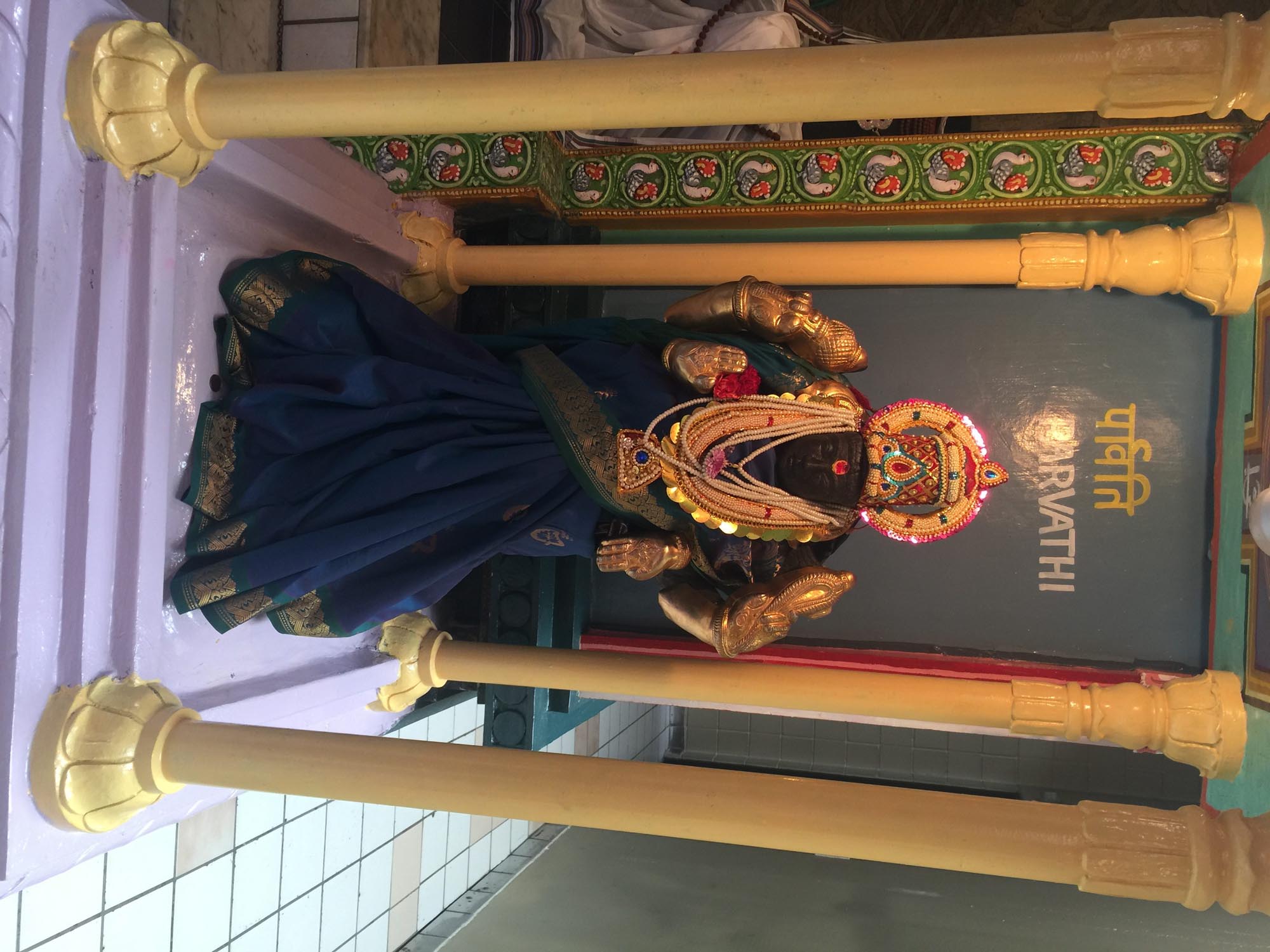 albany hindu temple holi